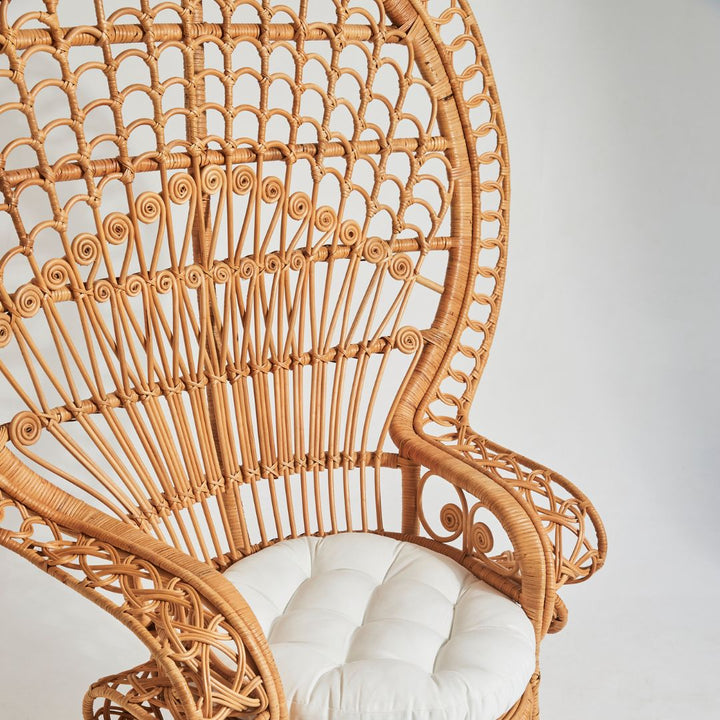 Peacock Chair