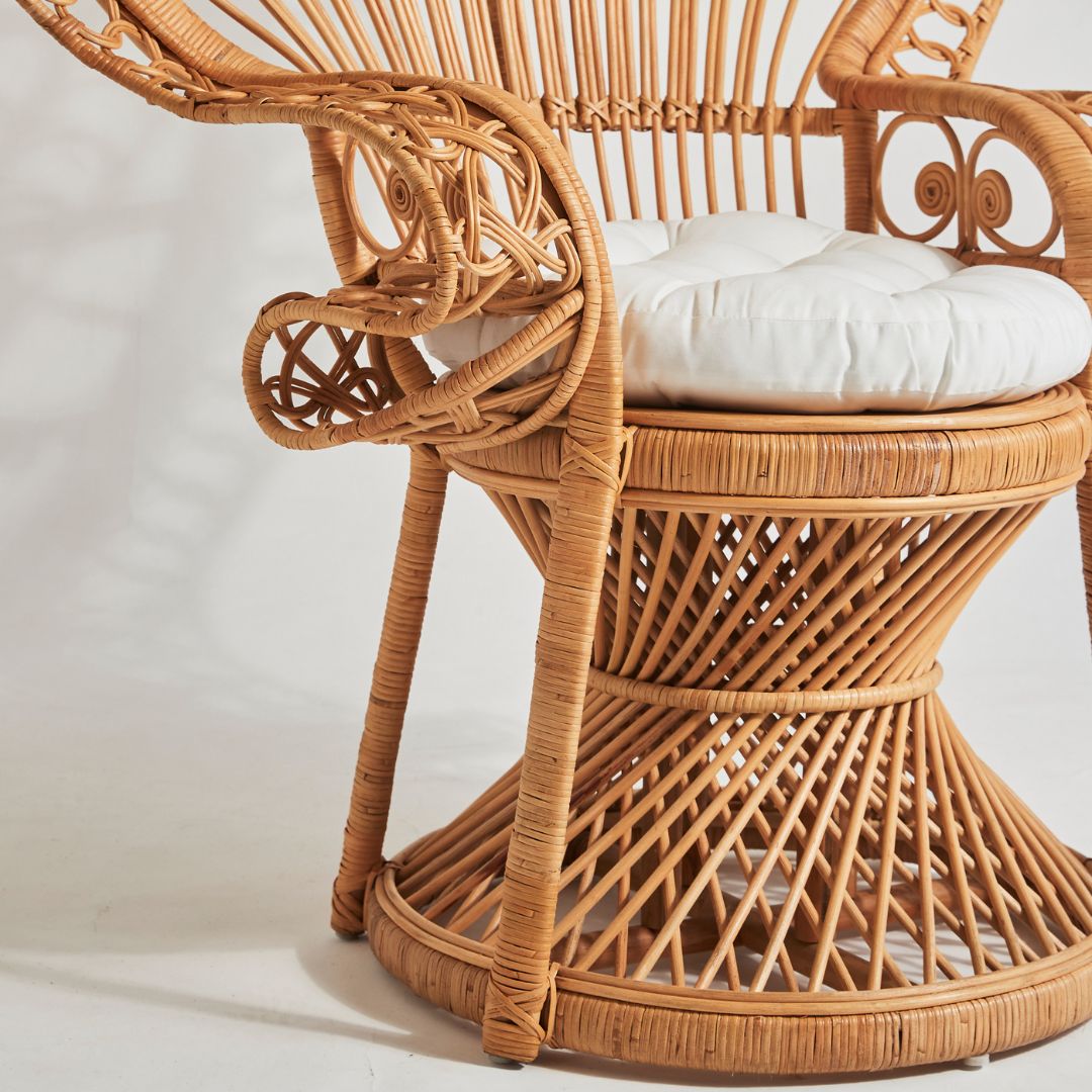 Peacock Chair